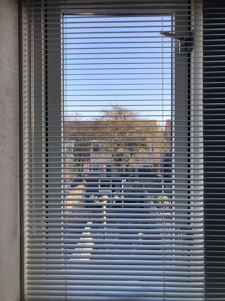 4 stuks antraciet kleurige luxaflex, Luxaflex, Ophalen, Gebruikt, Gordijn
