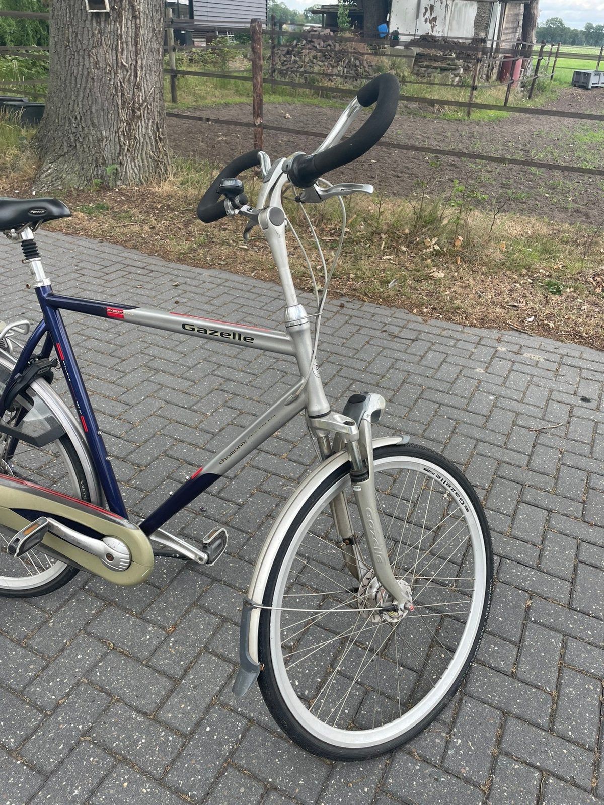 Gazelle Chamonix, Ophalen, Gebruikt, Versnellingen, 65 cm of meer