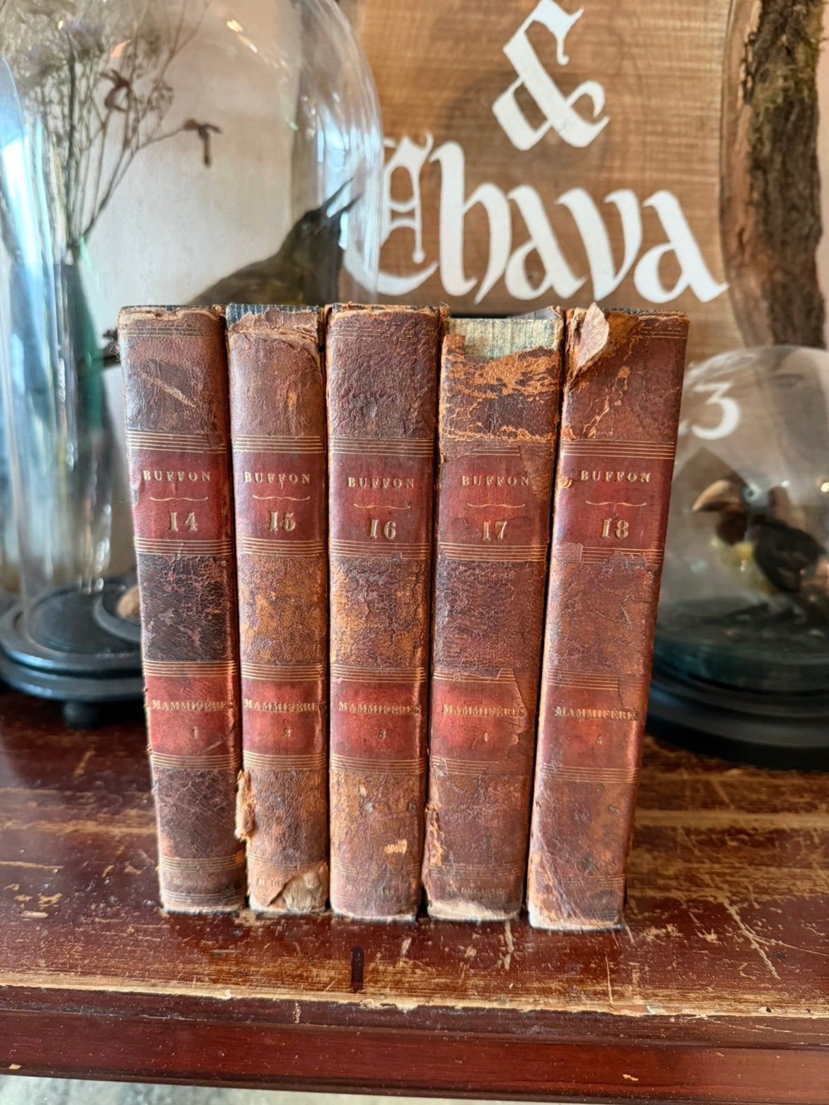 Buffon 1830-1831 Hand Gekleurd, Boeken, Encyclopedieën, Ophalen of Verzenden, Dieren