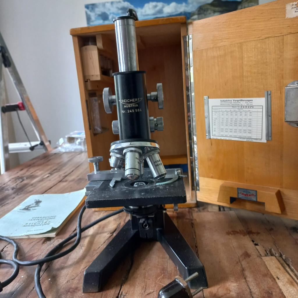 Vintage Reichert microscoop, Ophalen, Gebruikt, Minder dan 400x