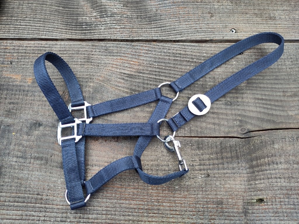 Blauw halster voor pony, Nieuw, Blauw, Halster, Overige merken