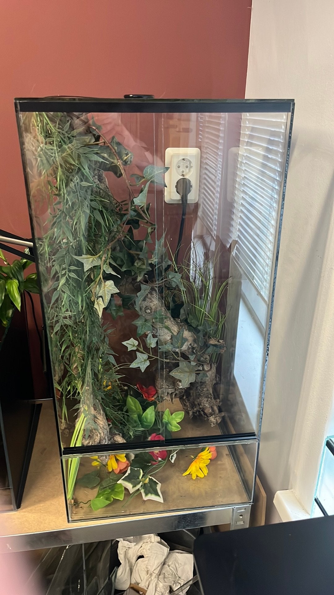Terrarium + Pehlsuma    Moet weg!, Dieren en Toebehoren, Reptielen en Amfibieën | Toebehoren, Ophalen, Zo goed als nieuw, Terrarium of Paludarium