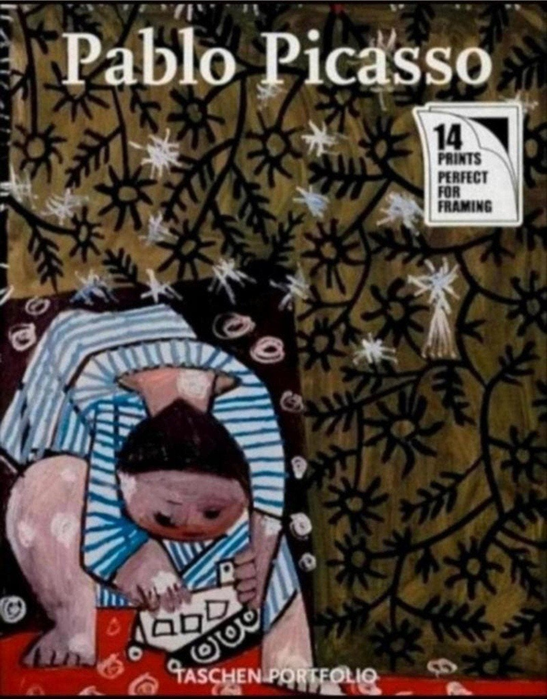 PABLO PICASSO Taschen portfolio 14 kwaliteits kunstafdrukken, Verzenden, Zo goed als nieuw