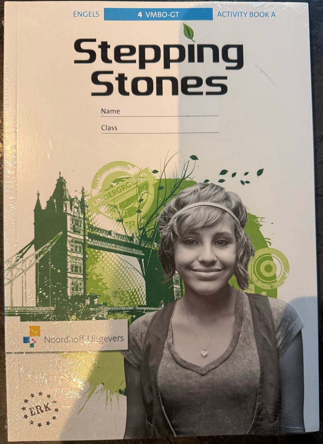 Stepping Stones 4 VMBO-GT Engels NIEUW IN FOLIE, Ophalen of Verzenden, Nieuw, VMBO, Engels