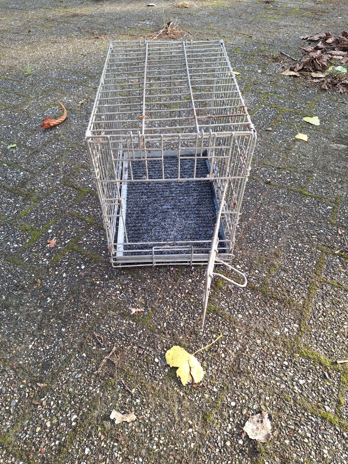 bench, Dieren en Toebehoren, Ophalen, Gebruikt
