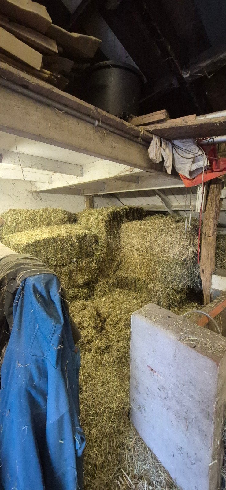 33 kleine pakjes hooi eerste snee, Verzenden, Vee