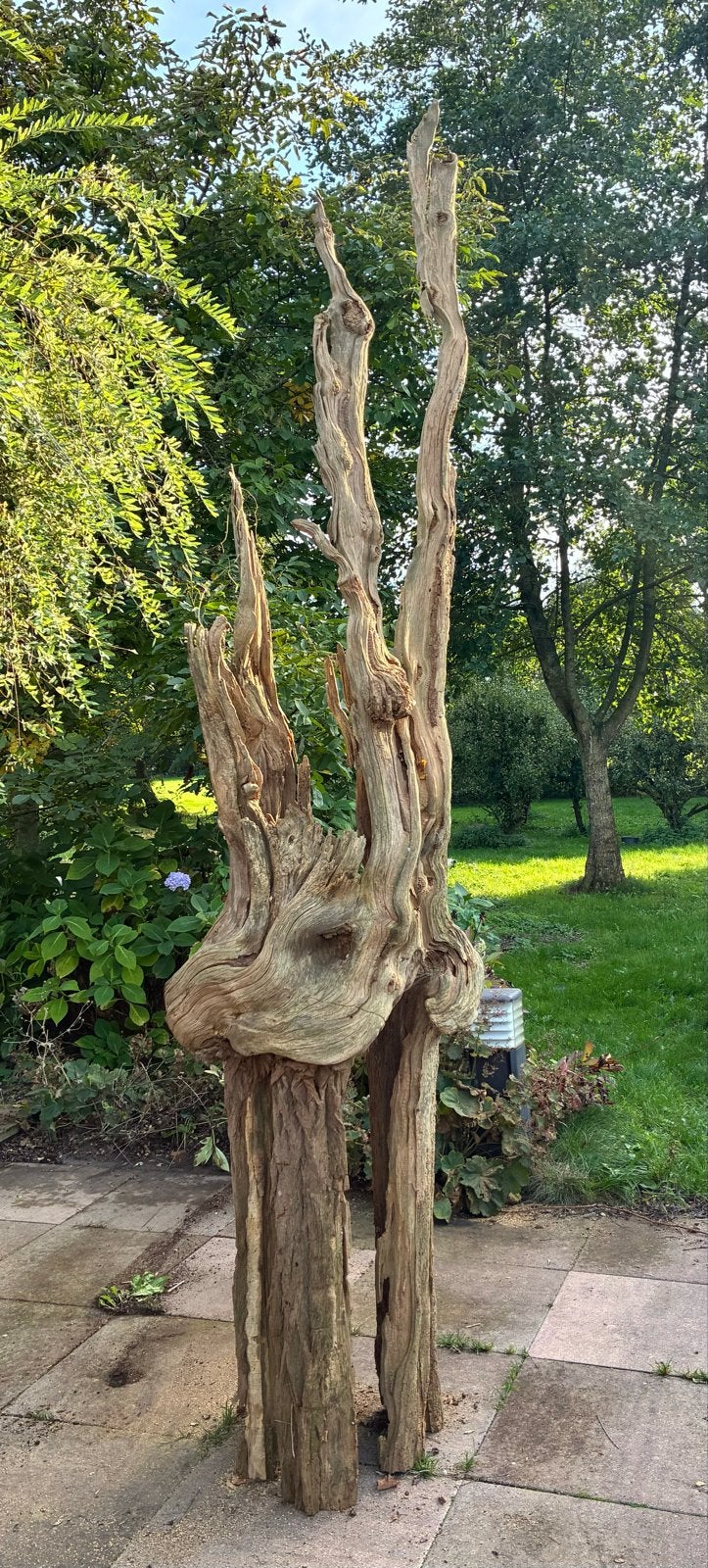 Unieke Houten Stam Kunstobject driftwood - 3 Meter Hoog, Ophalen, Gebruikt, Hout, Abstract beeld