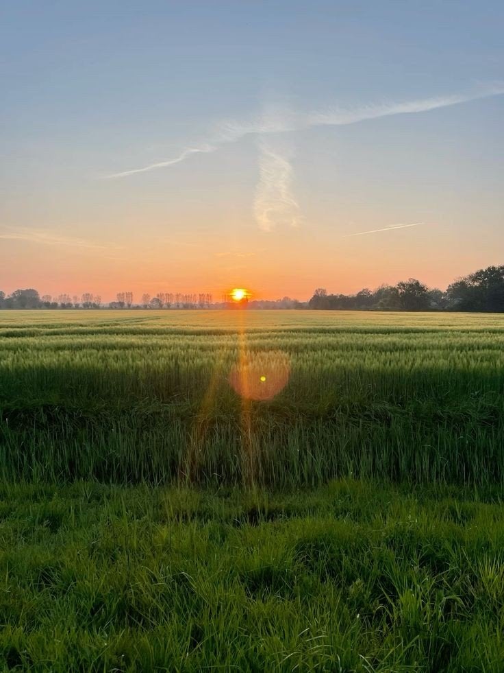 Stalling gezocht rond Hardinxveld-Giessendam, Dieren en Toebehoren, Stalling en Weidegang, Stalling