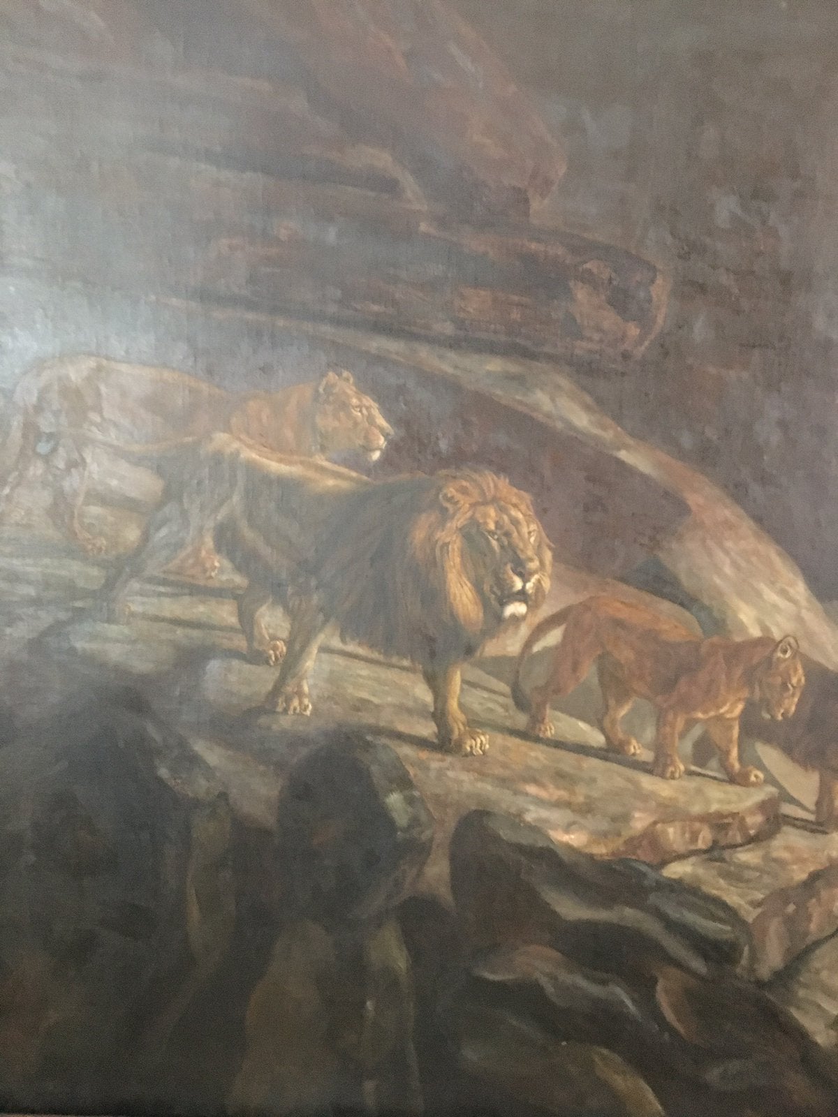 Herbert van der poll de leeuwenburcht Artis 1922, Ophalen, Dieren