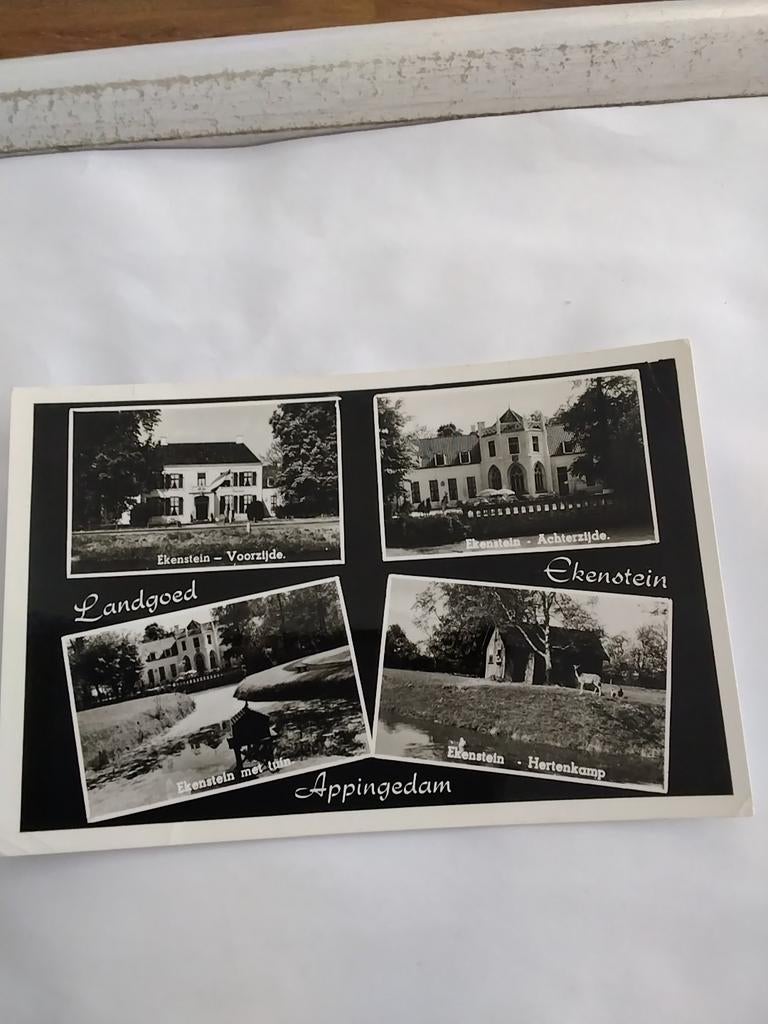 APPINGEDAM. LANDGOED EKENSTEIN  4 afbeeldingen, Ophalen of Verzenden, 1960 tot 1980