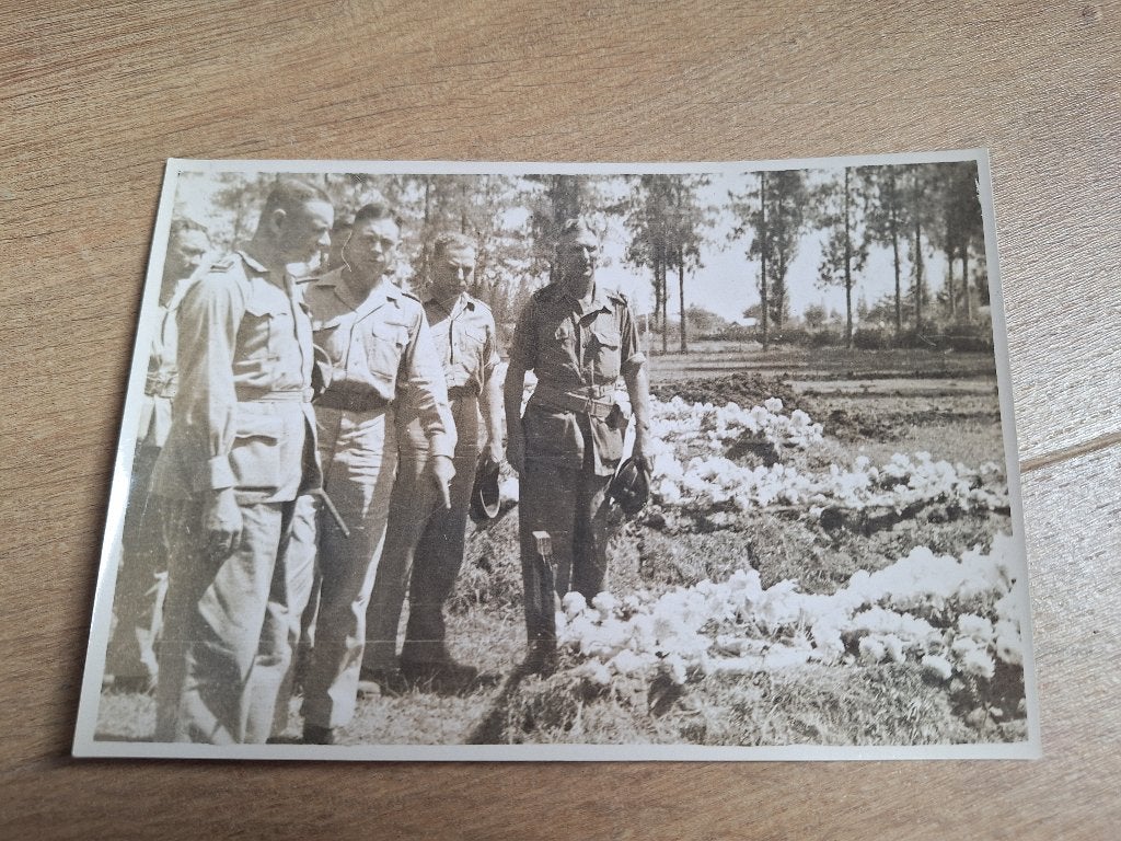 1946 Foto LVD Batavia: bezoek aan ereveld Kembang Koening, Verzenden, Nederland, Foto of Poster