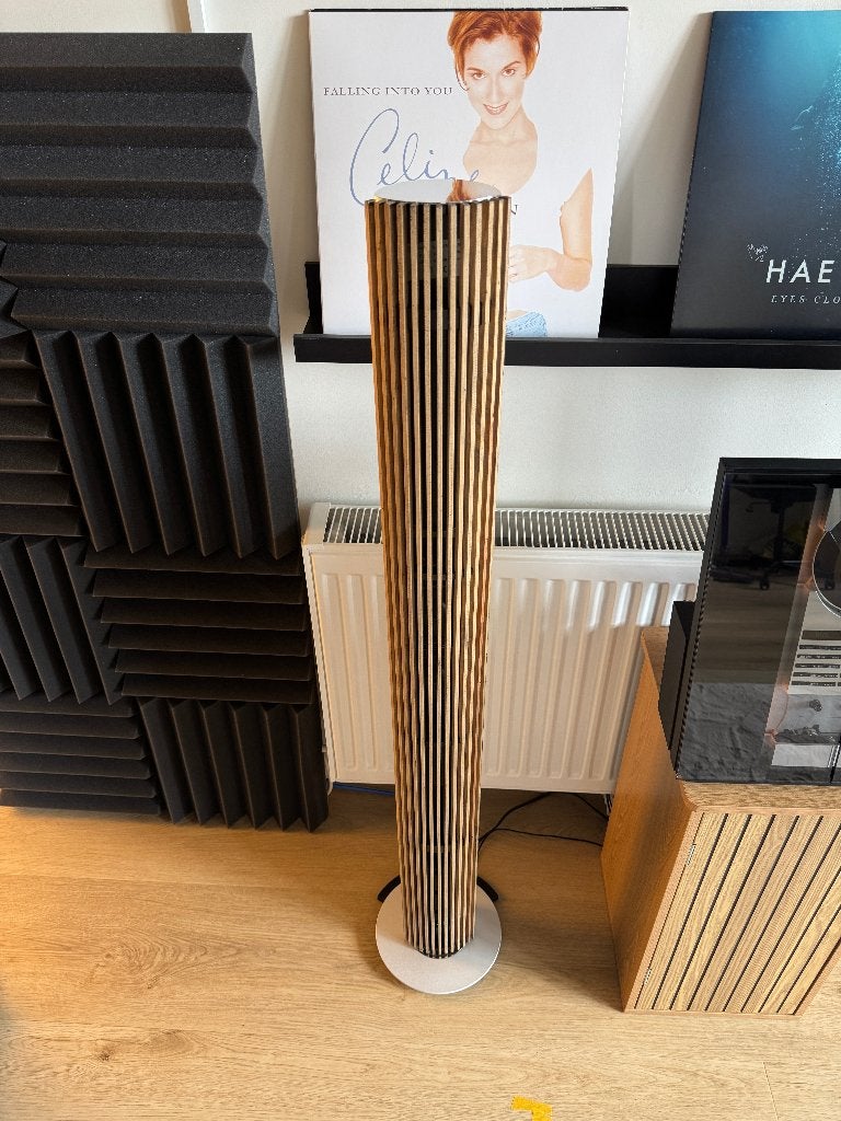 Bang & Olufsen Beolab 6000 met houten fronten! (Gerenoveerd)