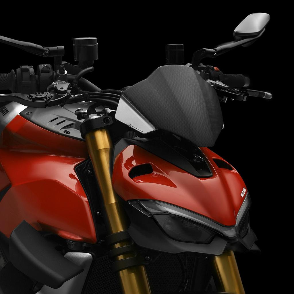 Rizoma Windscherm Ducati Streetfighter V4/V4S (2020-2024), Motoren, Ophalen of Verzenden