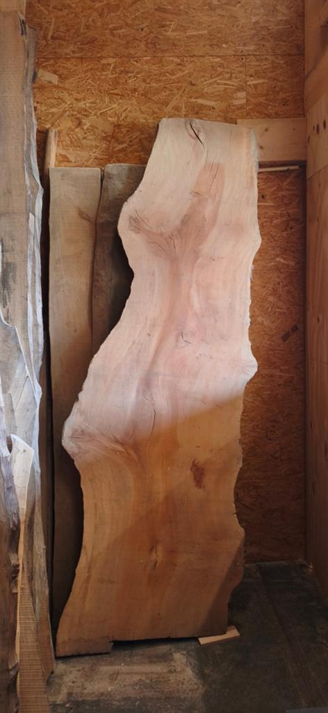 Groot plataan schaaldeel, Doe-het-zelf en Verbouw, Hout en Planken, Plank, Overige houtsoorten, Minder dan 200 cm, Ophalen