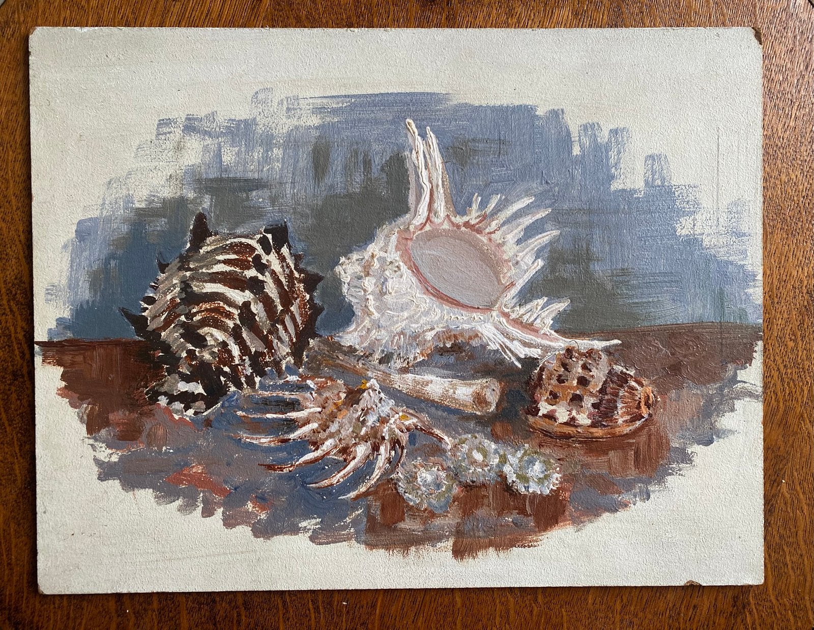 Stilleven met schelpen, Ophalen of Verzenden