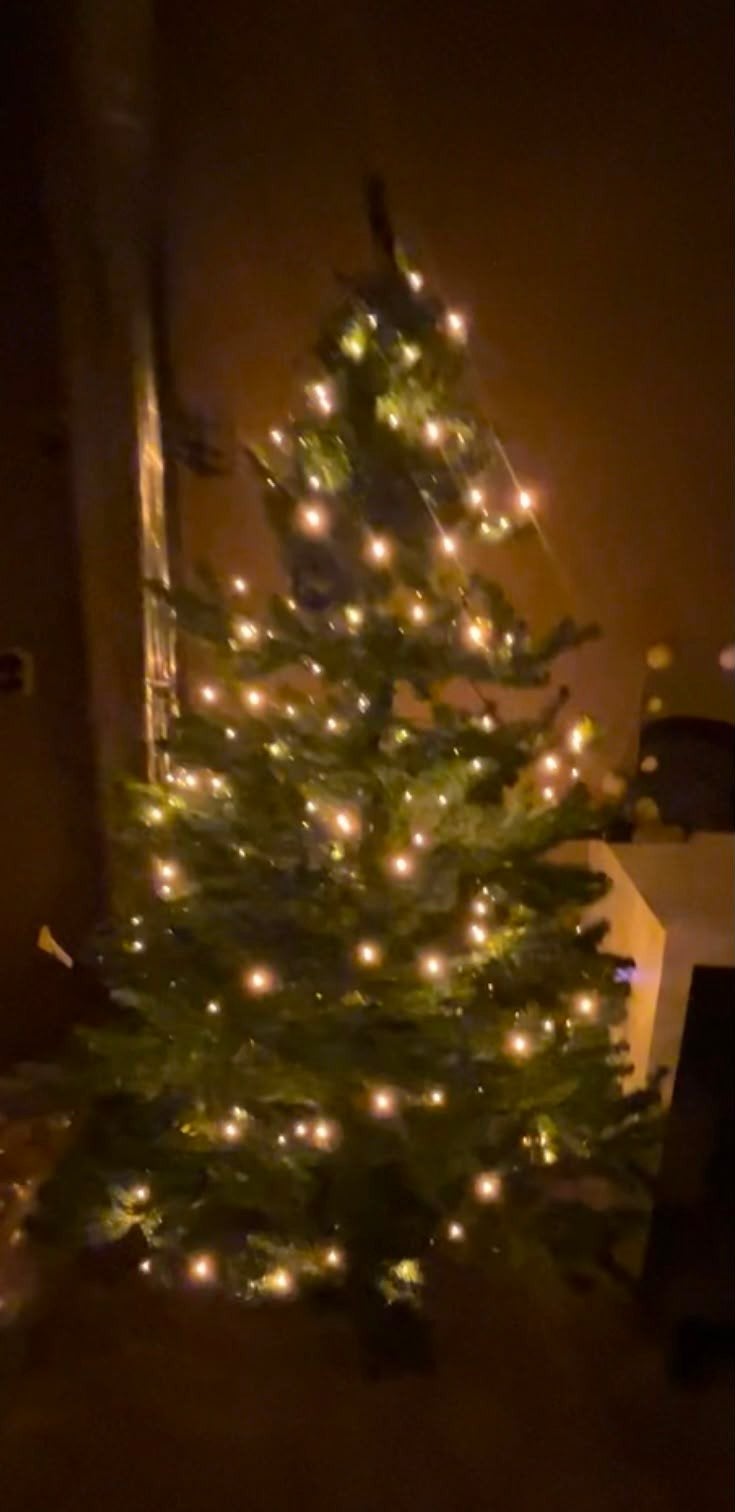 Te koop mooie kunstkerstboom., Ophalen