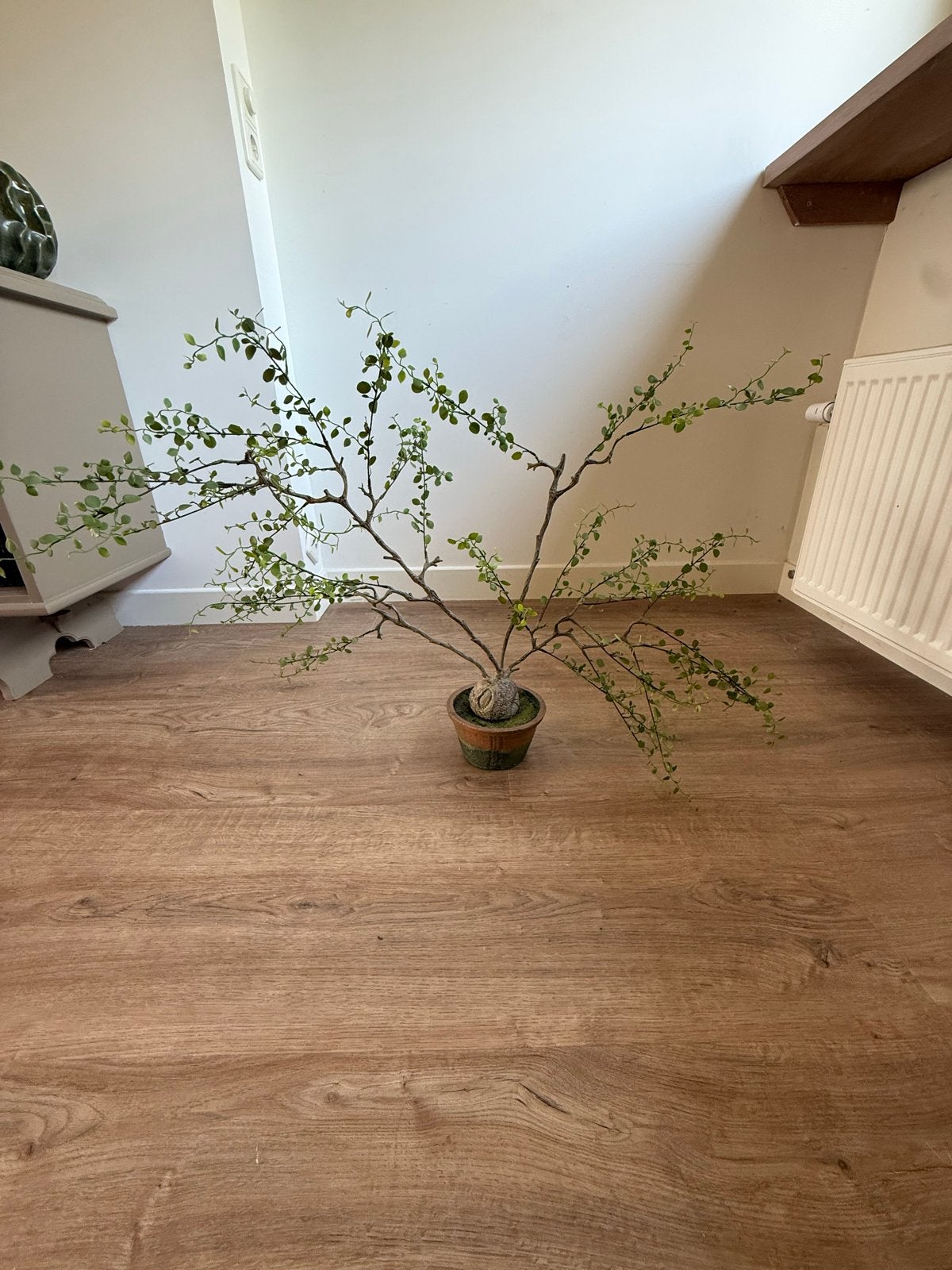 Silk-ka kunstplant met pot, Huis en Inrichting, Woonaccessoires | Kunstplanten en Kunstbloemen, Ophalen, Binnen, Groen, Kunstplant