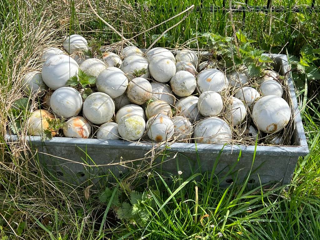 BROCANTE TUIN ARTIKELEN, Ophalen