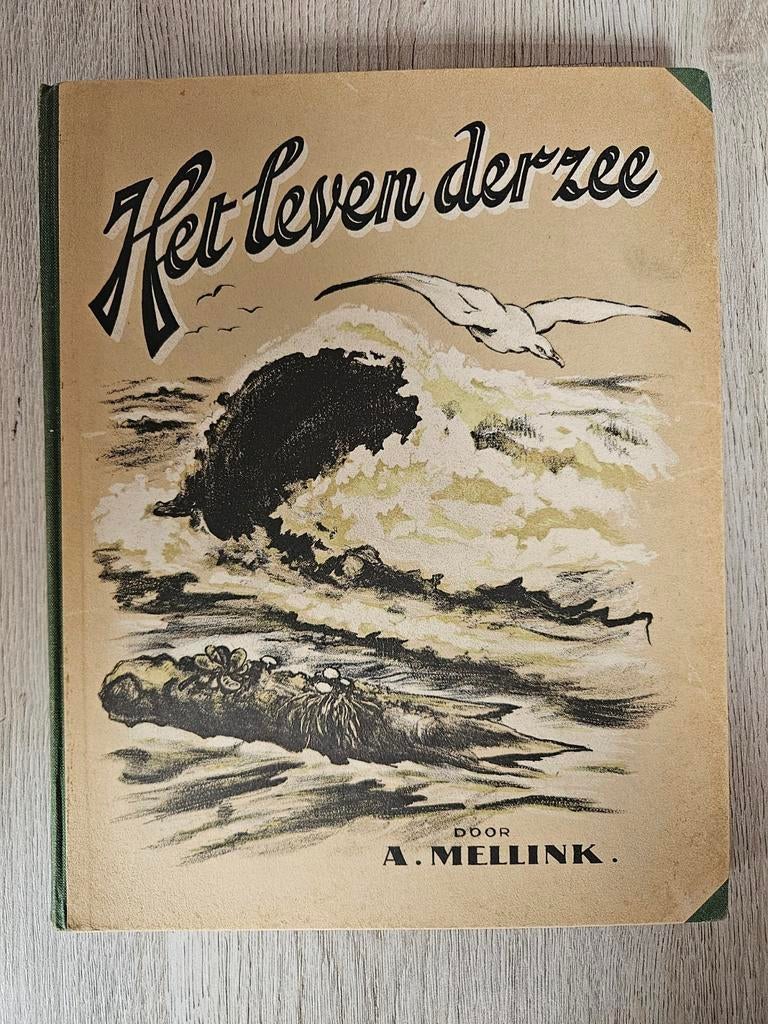 Het leven der zee - A. Mellink (1929), Boeken, Overige Boeken, Zo goed als nieuw, Ophalen of Verzenden