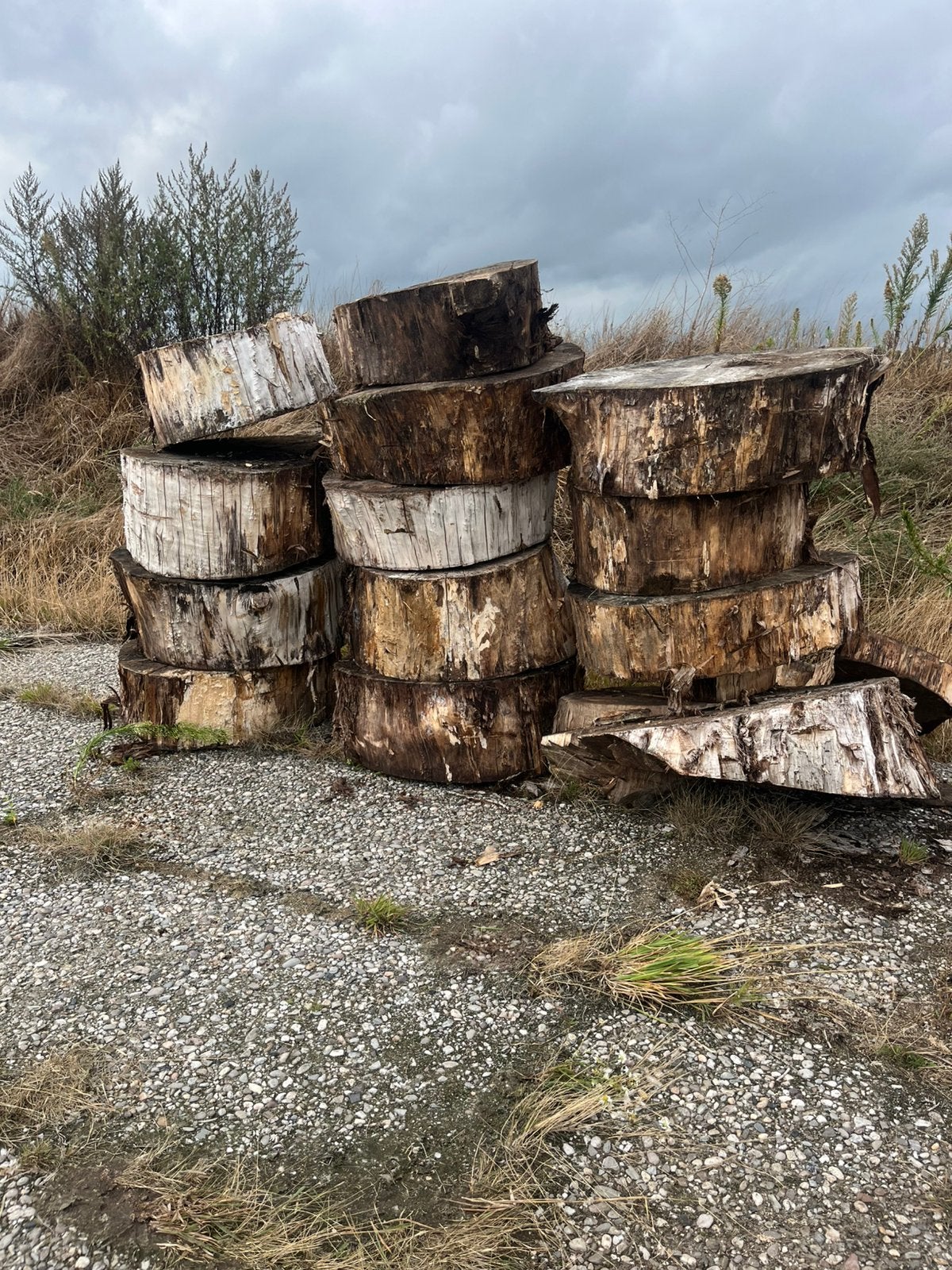 Blokken Hout populier, Tuin en Terras, Minder dan 3 m³, Ophalen