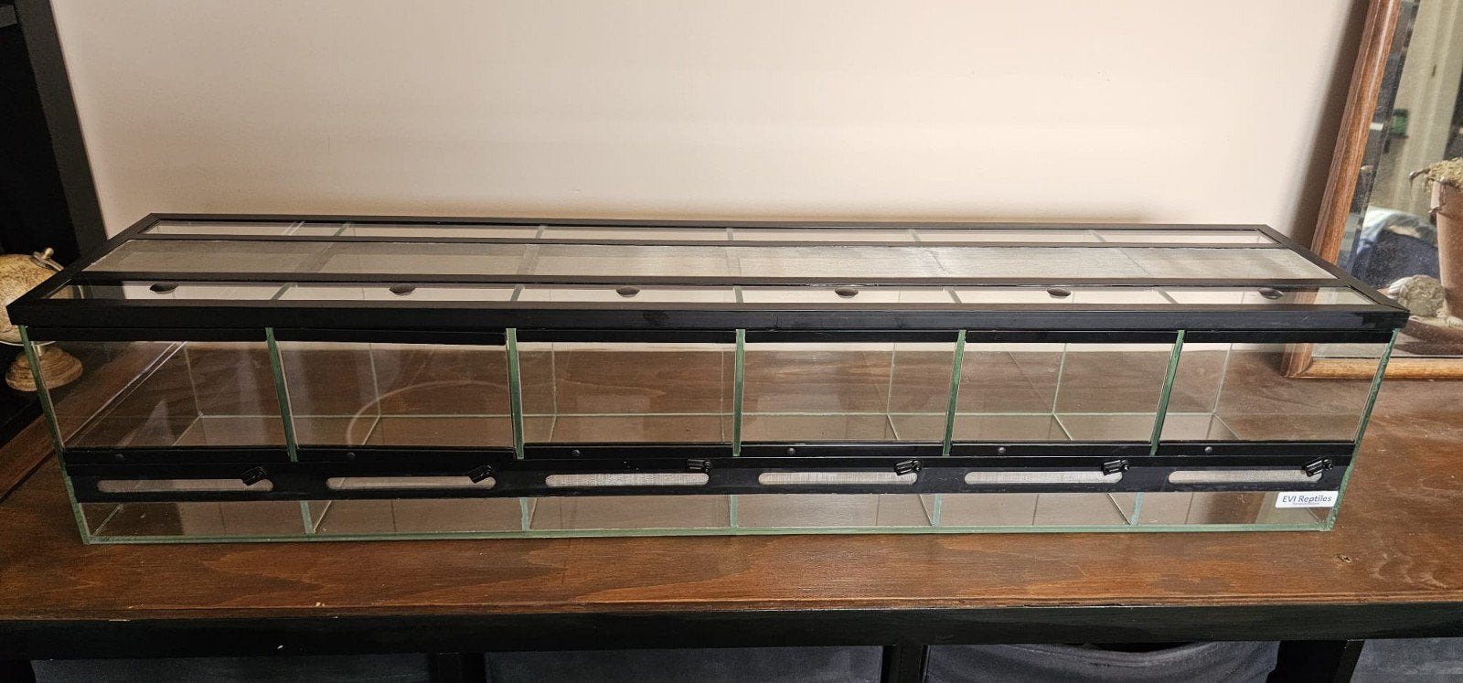 Terrarium straat 6 in 1, Dieren en Toebehoren, Reptielen en Amfibieën | Toebehoren, Ophalen, Zo goed als nieuw, Terrarium of Paludarium