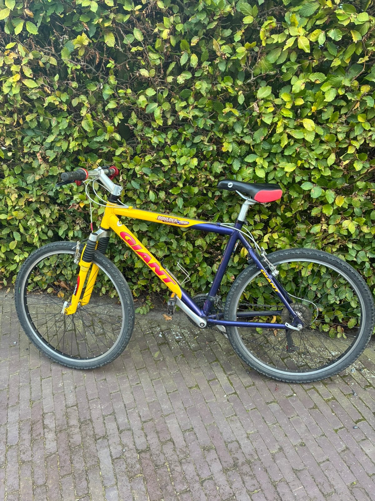 Giant mountainbike, Fietsen en Brommers, 49 tot 53 cm, Ophalen, Gebruikt, Giant