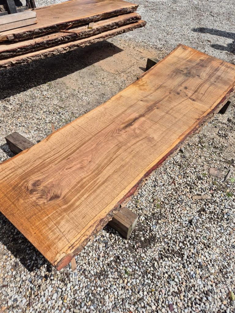 Eiken schaaldelen, Ophalen, Nieuw, Hout