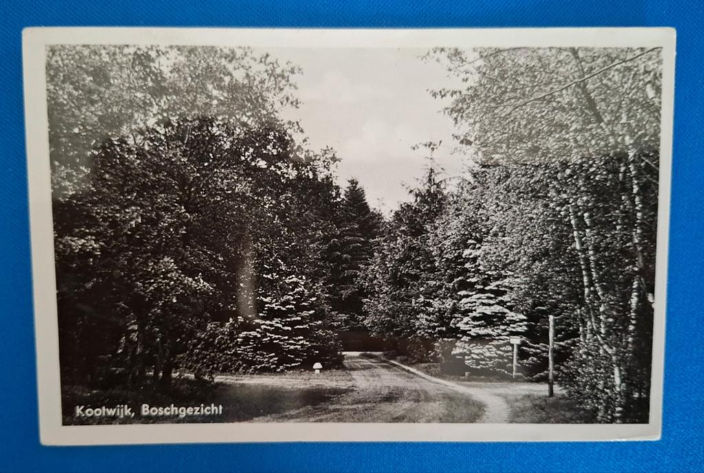 Ansichtkaart Kootwijk Bosgezicht 1957, Ophalen of Verzenden, 1940 tot 1960, Gelopen, Gelderland