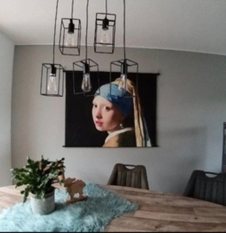 Het Meisje met de Parel, Ophalen, Zo goed als nieuw, 125 cm of meer, Overige typen