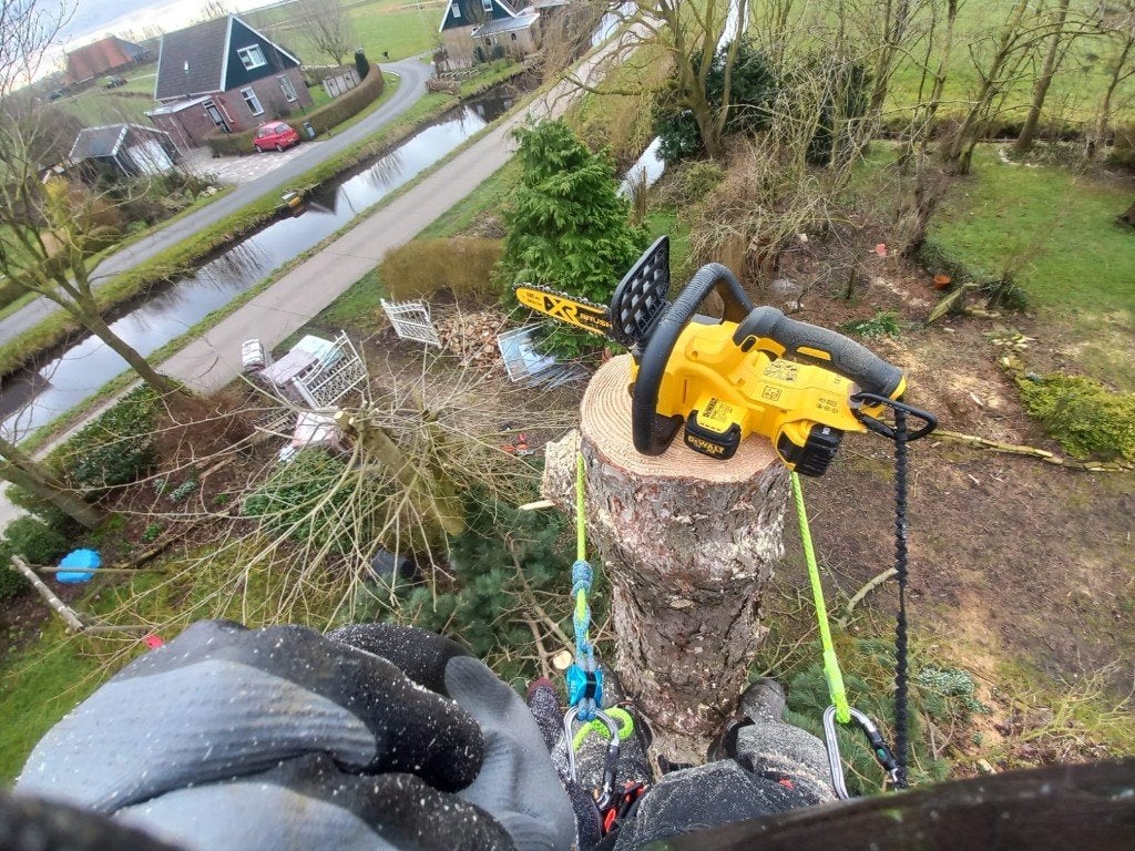 Boomverzorging voor al uw kap en snoeiwerk, Minder dan 3 m³, Ophalen of Verzenden