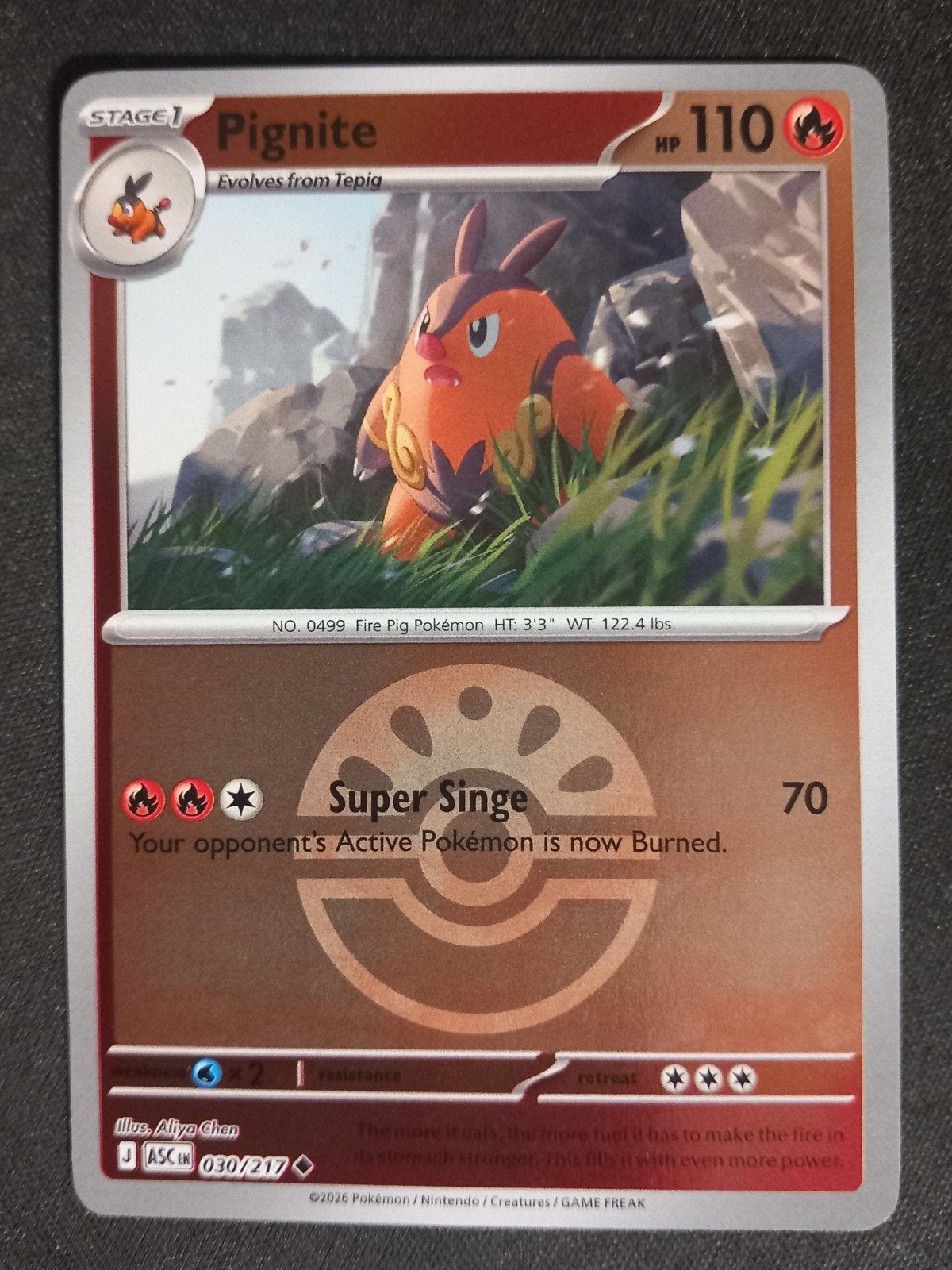 Pokemon Pignite 030/217 Ascended Heroes Reverse Pokeball NM, Verzenden, Zo goed als nieuw, Losse kaart, Foil
