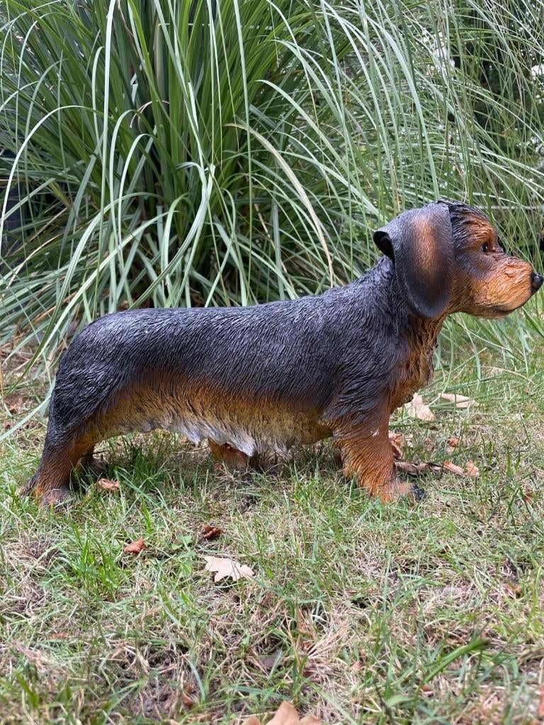 Beeld teckel, tekkel, hond, tuin, gazon 50cm, Tuin en Terras, Tuinbeelden, Ophalen, Nieuw, Kunststof, Dierenbeeld