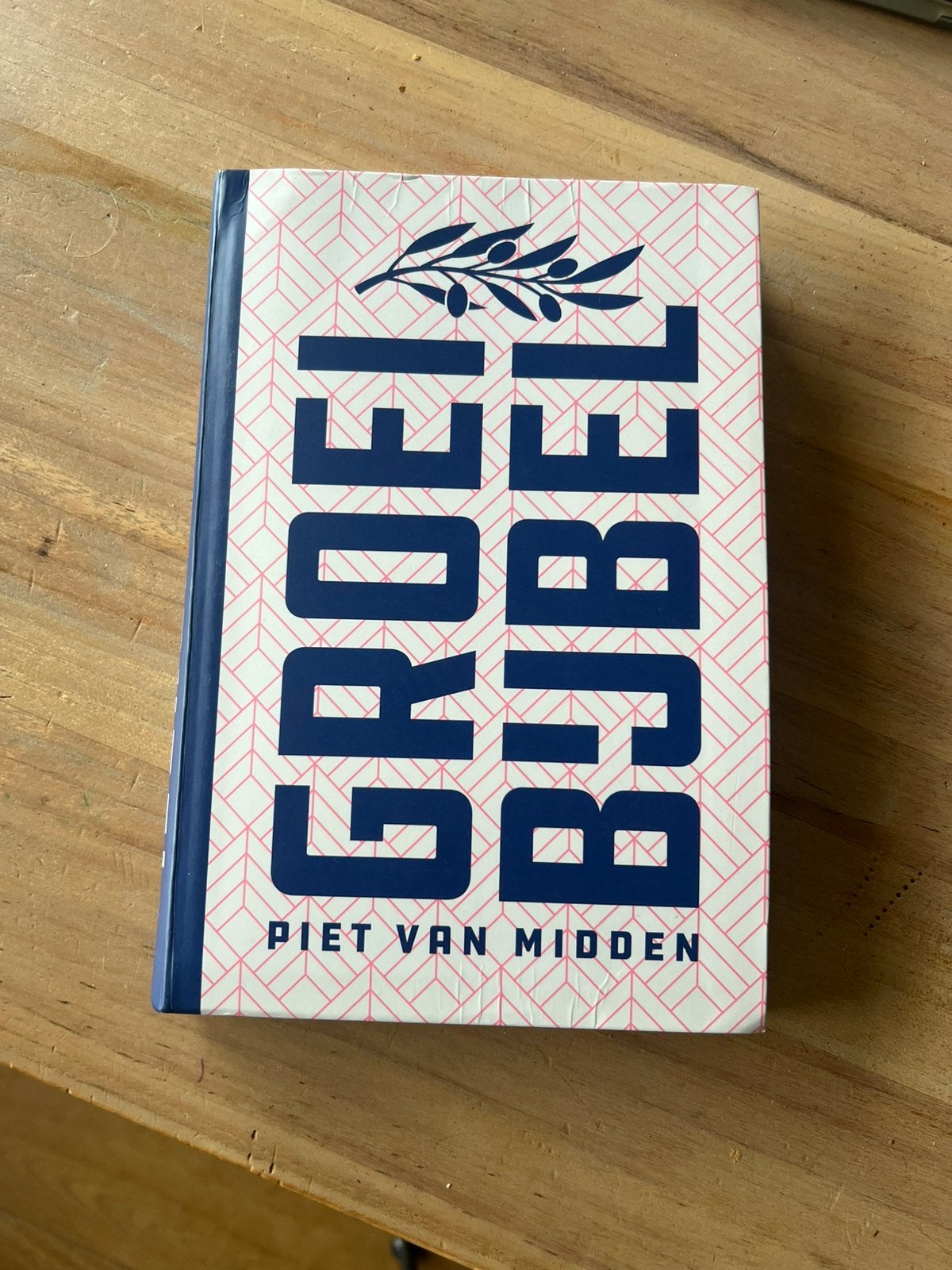 Groeibijbel, Ophalen of Verzenden, Zo goed als nieuw