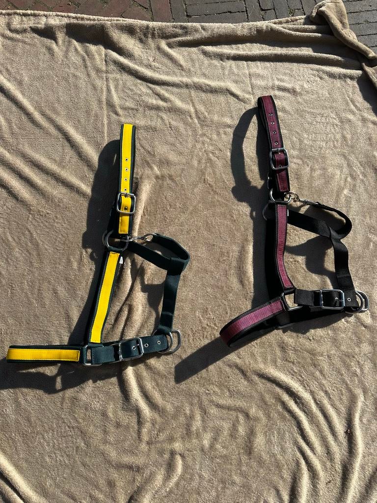 Luxe onverwoestbare canadese halsters in full xl en xxl, Ophalen of Verzenden, Nieuw