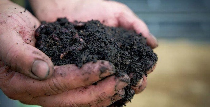 Moestuingrond compost €29,50 per M3 (ACTIE!!!), Ophalen of Verzenden, Compost