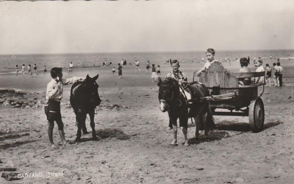 CADZAND Strand met Pony's, Verzenden, 1960 tot 1980, Gelopen, Zeeland