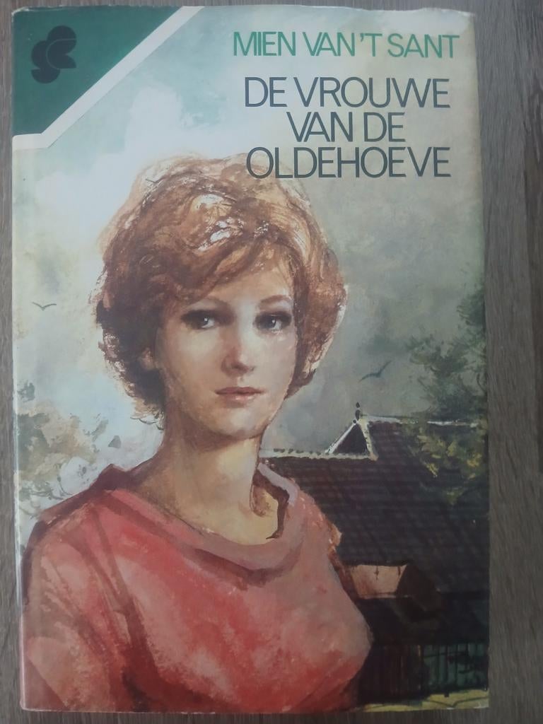De vrouwe van de Oldehoeve | Mien van 't Sant, Boeken, Streekboeken en Streekromans, Ophalen of Verzenden, Zo goed als nieuw