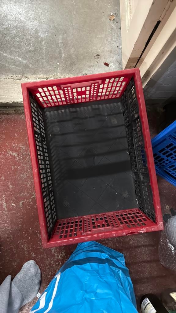 Stapelbare vouwkratjes klapkratjes, Doe-het-zelf en Verbouw, Kratten en Dozen, Gebruikt, Krat, 50 tot 75 cm, 35 tot 50 cm, 40 tot 60 cm