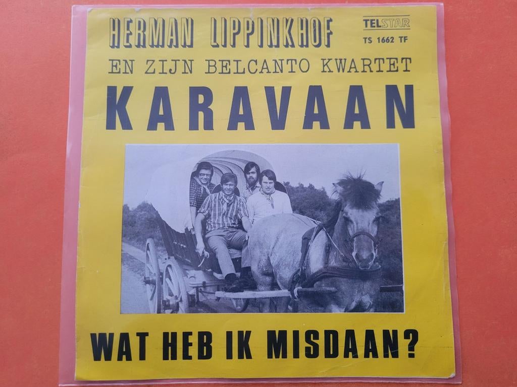 Herman Lippinkhof - Karavaan - Wat heb ik misdaan ., Ophalen, Zo goed als nieuw, Overige formaten, Levenslied of Smartlap