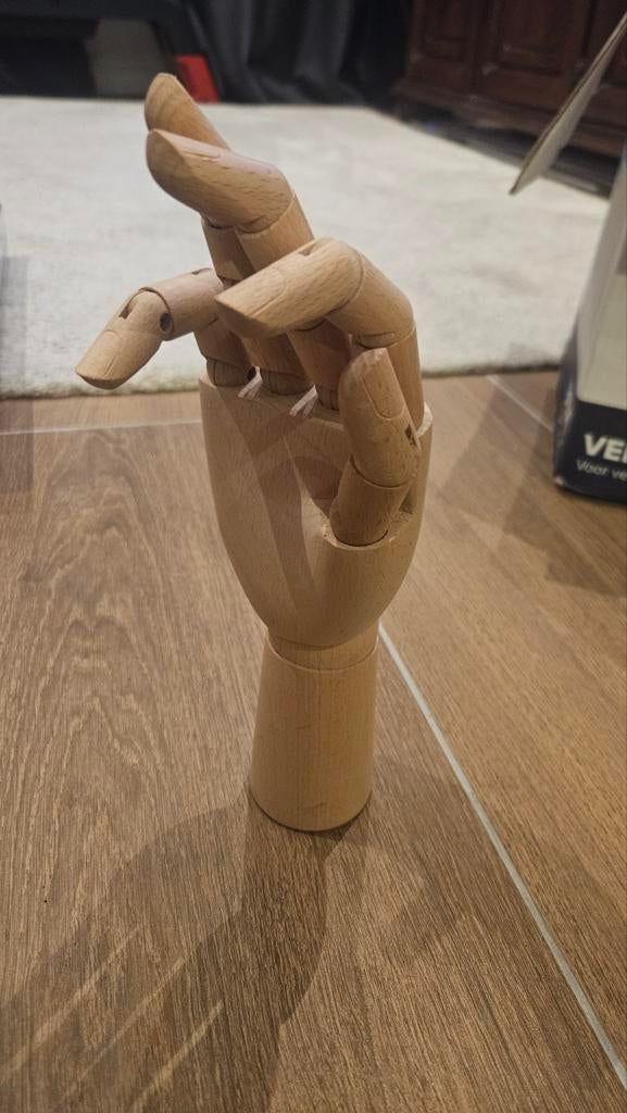 Houten Tekenhand - Perfect voor kunstenaars!, Ophalen, Zo goed als nieuw, Overige typen