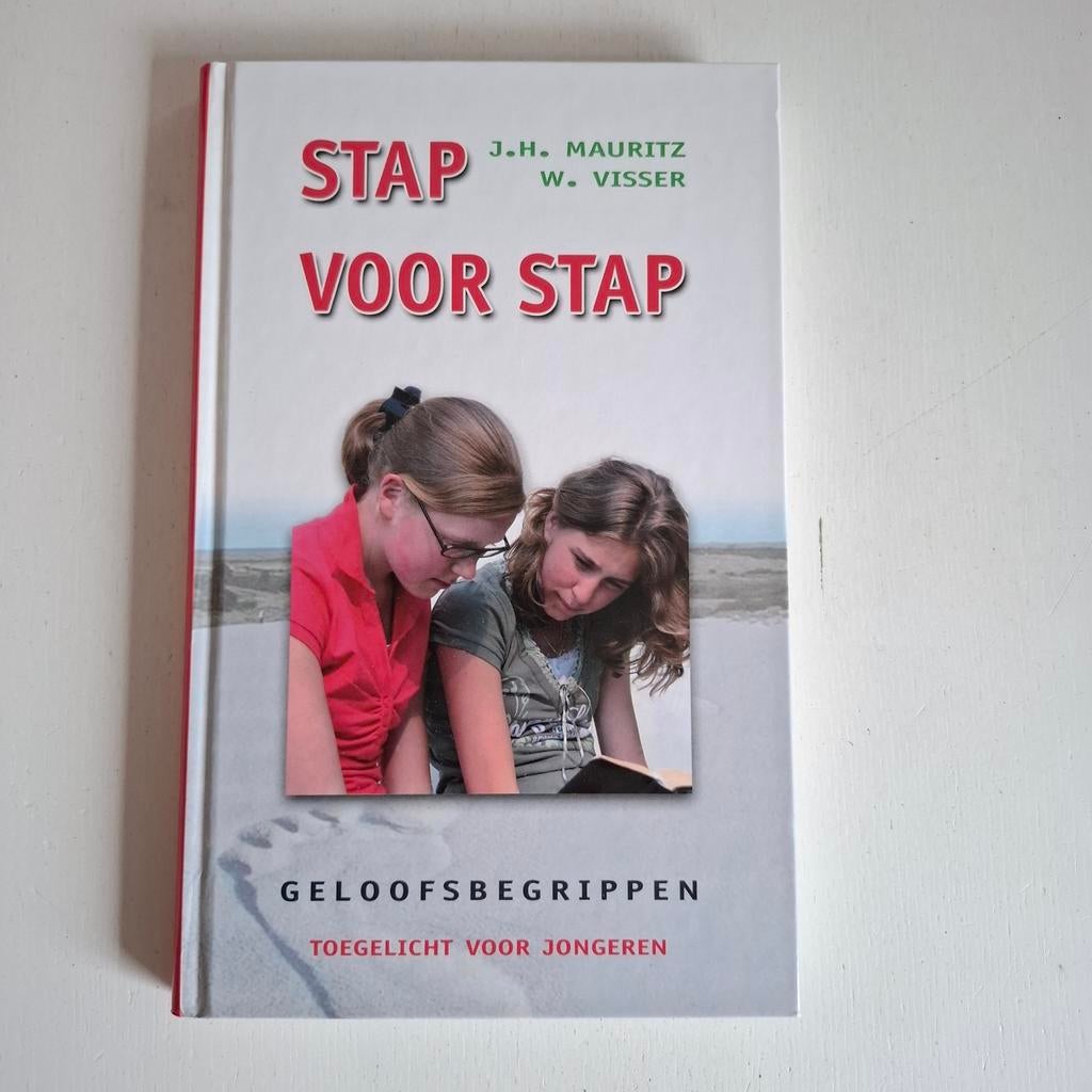 J.H. Mauritz - Stap voor stap (uitleg geloofsbegrippen), Boeken, Ophalen of Verzenden, Zo goed als nieuw, J.H. Mauritz; W. Visser