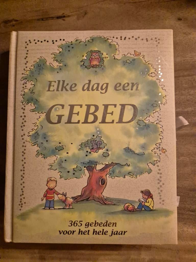 Elke Dag een Gebed - Kindergebedenboek, Ophalen of Verzenden, Zo goed als nieuw, Jayne Church & Stuart Trotter, Christendom | Katholiek