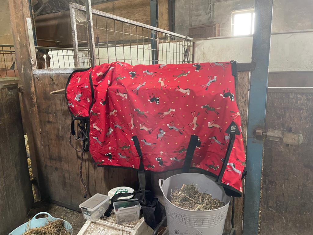 Regendeken 0 grams 165cm, Dieren en Toebehoren, Overige merken, 0 g, Rood, Ophalen of Verzenden