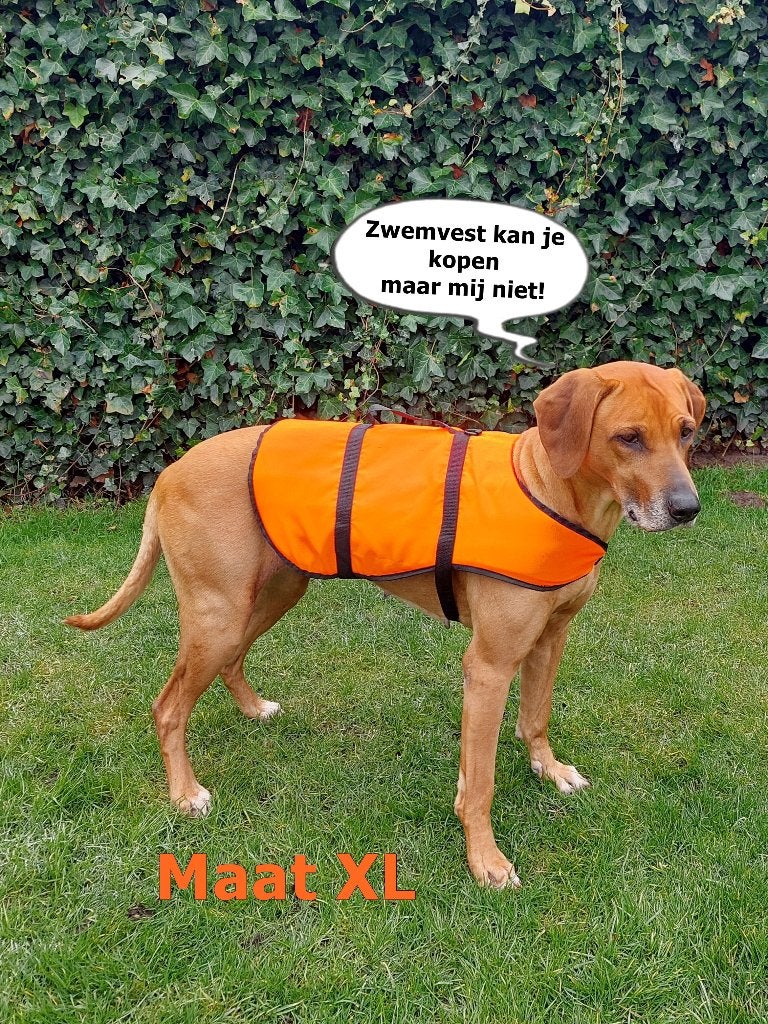 Hondenzwemvest, Dieren en Toebehoren, Honden-accessoires, Beeztees, Ophalen of Verzenden, Nieuw