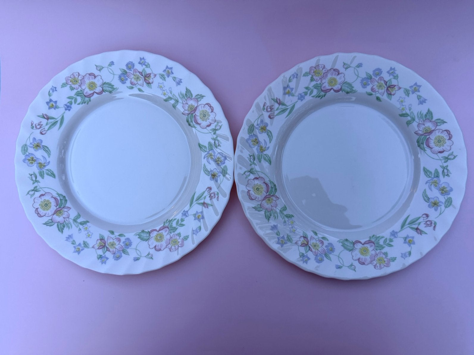 2x Vintage Arcopal France 'Champêtre' lunchborden (23 cm), Antiek en Kunst, Ophalen of Verzenden