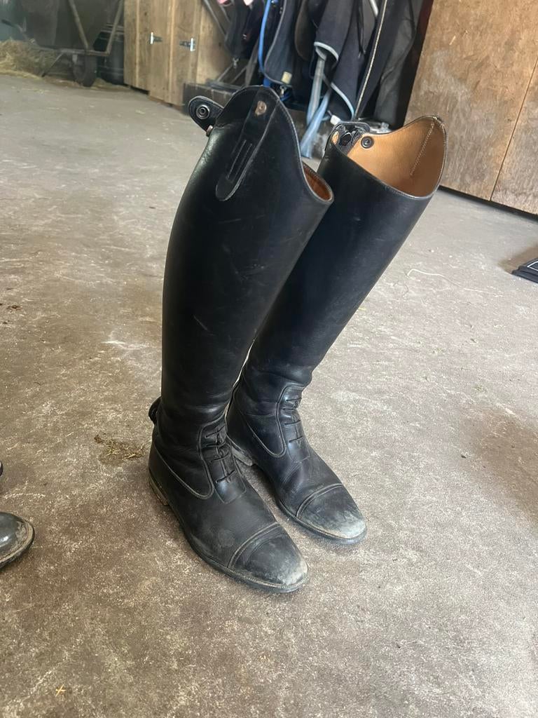 Petrie 38, Dieren en Toebehoren, Ophalen of Verzenden, Zo goed als nieuw, Dressuur, Schoeisel