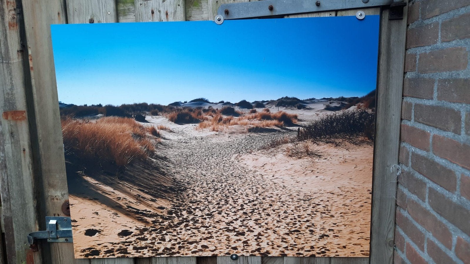 Grote foto/poster van duinlandschap, Gebruikt, 50 tot 75 cm, Ophalen of Verzenden, 75 tot 100 cm