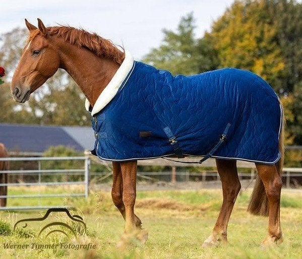 Profrider showdeken 195 cm | Blauw | Teddy gevoerd, Full (L), Fluweel, Overige merken, Ophalen of Verzenden