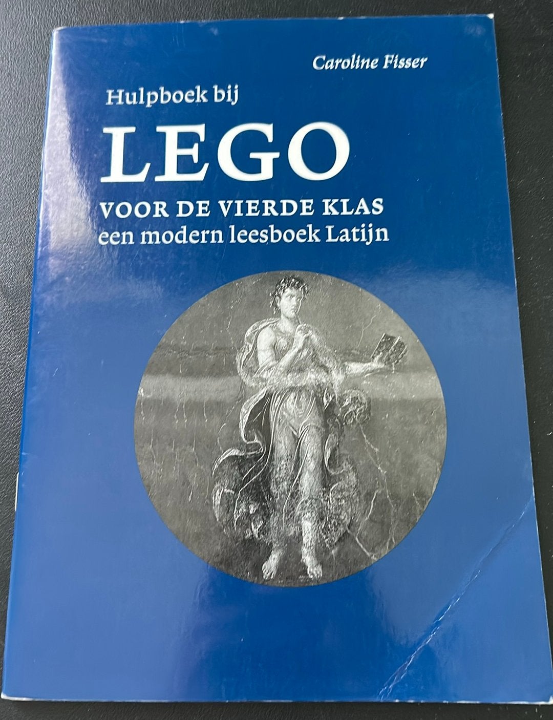 LEGO hulpboek bij het vertalen klas 4, Boeken, Schoolboeken, Ophalen of Verzenden, Zo goed als nieuw, Overige niveaus