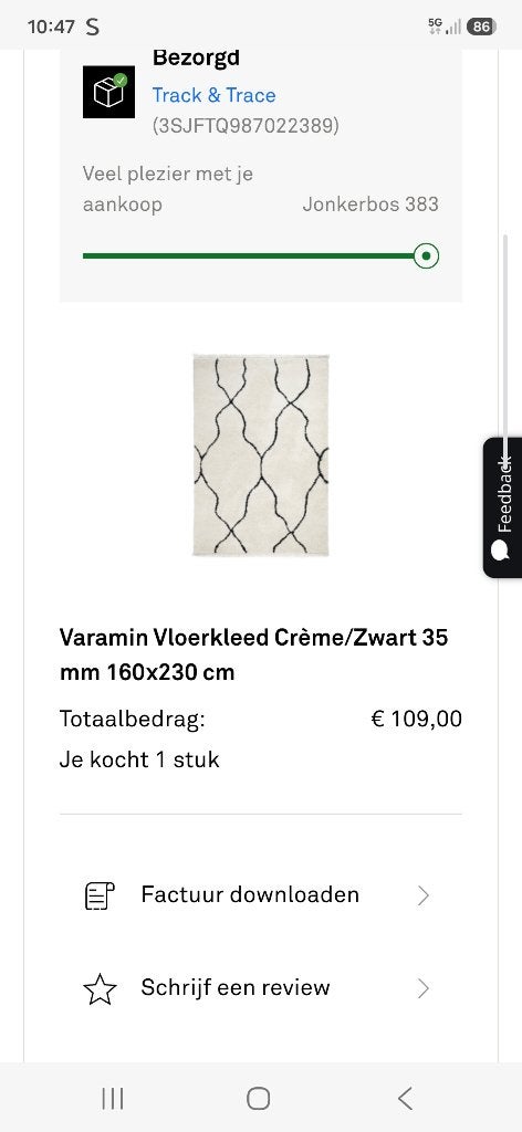 Vloerkleed Varamin - Karwei €45, Ophalen, 200 cm of meer, Zo goed als nieuw, Rechthoekig